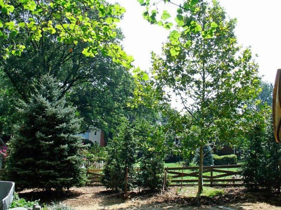 SAB Lawn & Landscaping Inc - Sterling, VA