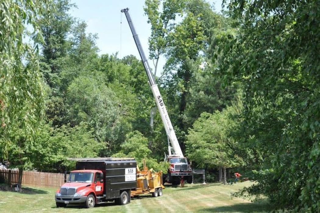 SAB Lawn & Landscaping Inc - Sterling, VA