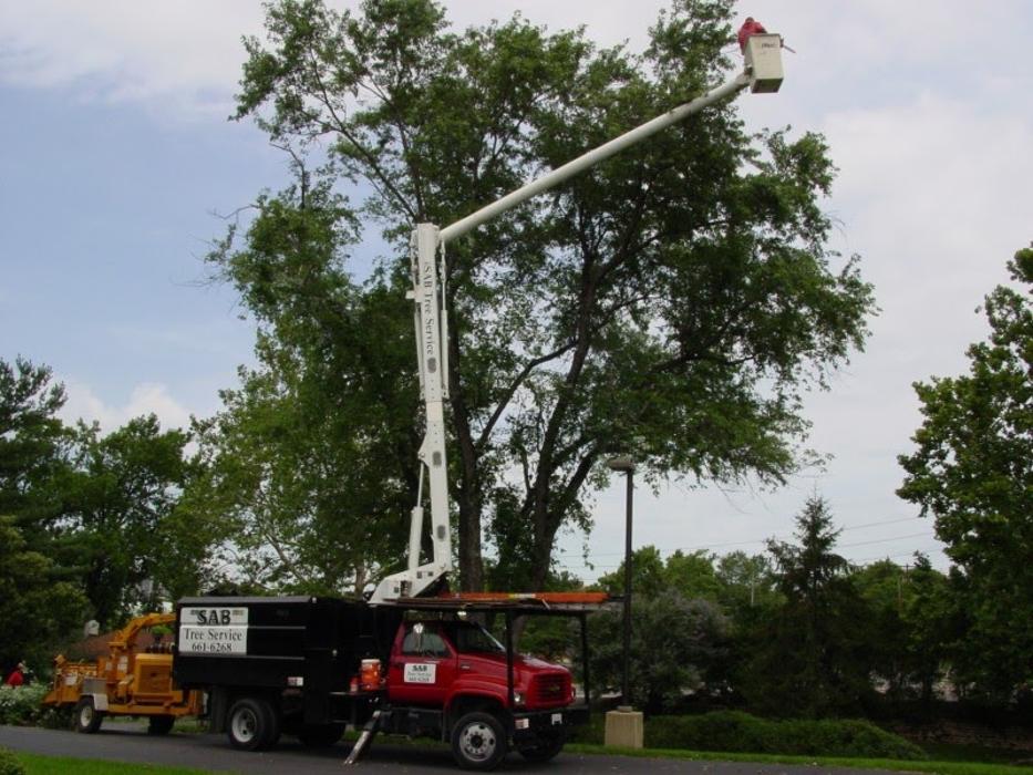SAB Lawn & Landscaping Inc - Sterling, VA