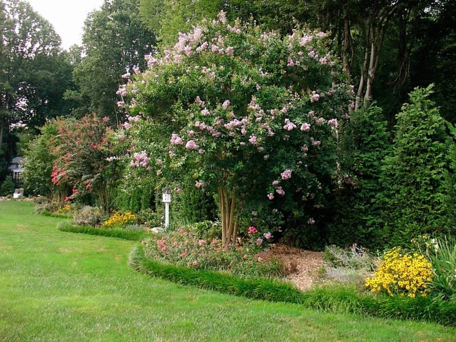 SAB Lawn & Landscaping Inc - Sterling, VA