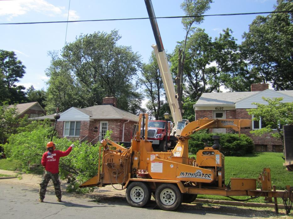 SAB Lawn & Landscaping Inc - Sterling, VA