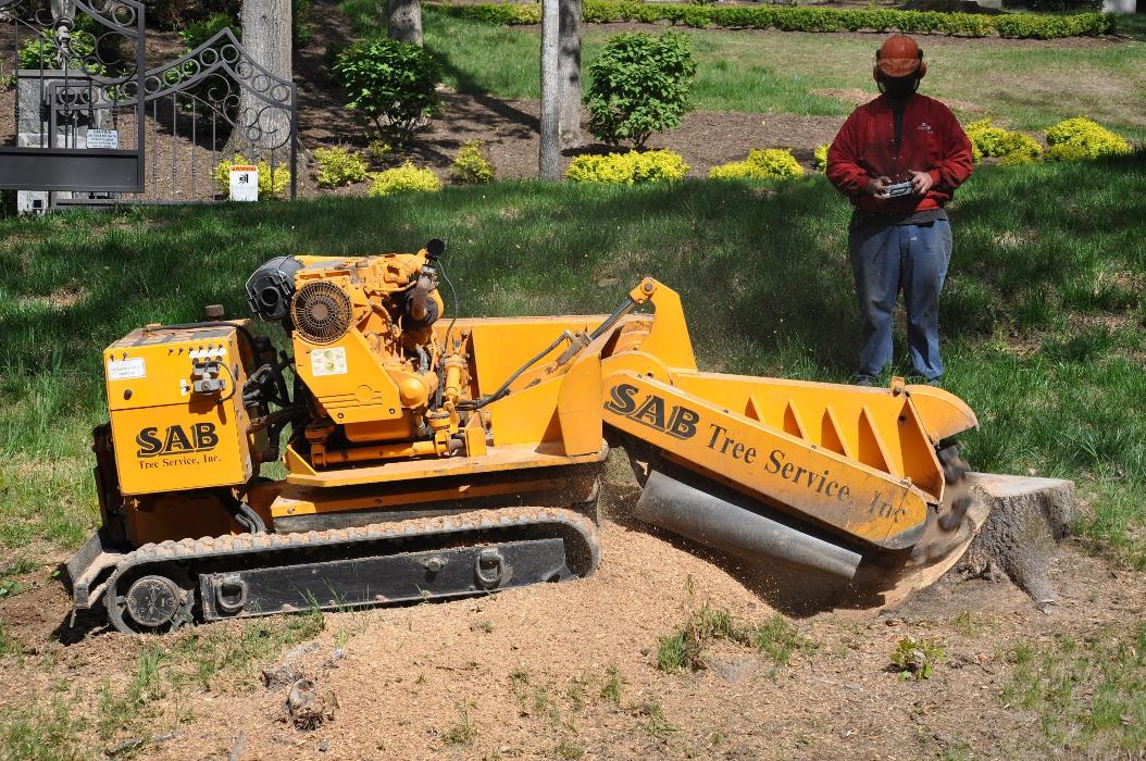 SAB Lawn & Landscaping Inc - Sterling, VA