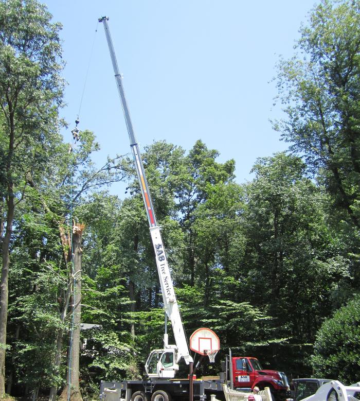 SAB Lawn & Landscaping Inc - Sterling, VA