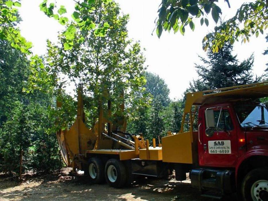 SAB Lawn & Landscaping Inc - Sterling, VA