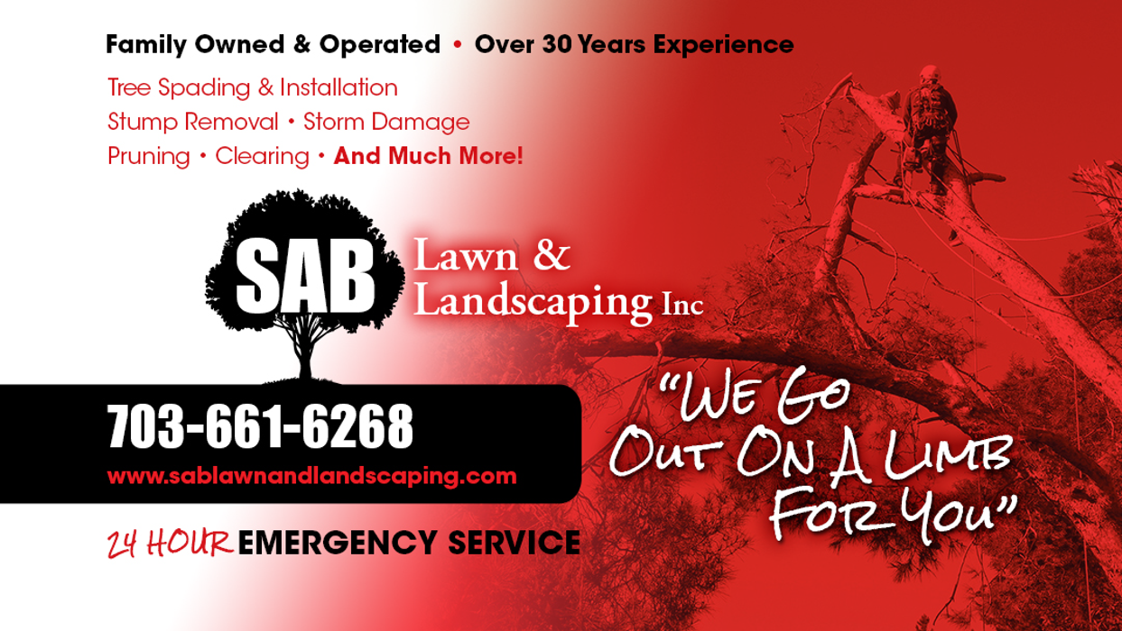 SAB Lawn & Landscaping Inc - Sterling, VA