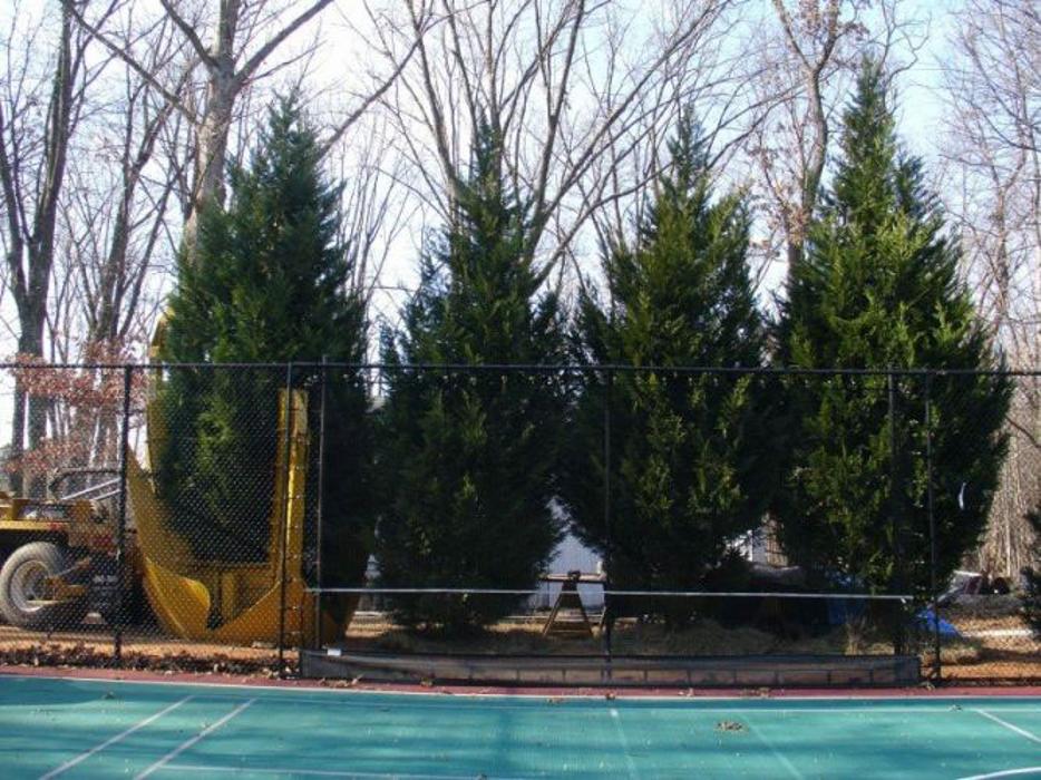 SAB Lawn & Landscaping Inc - Sterling, VA