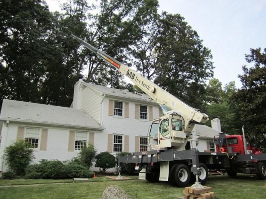 SAB Lawn & Landscaping Inc - Sterling, VA