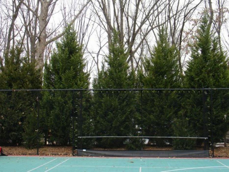 SAB Lawn & Landscaping Inc - Sterling, VA