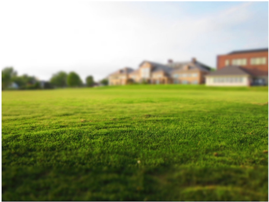 Wood's Sod Farm Image