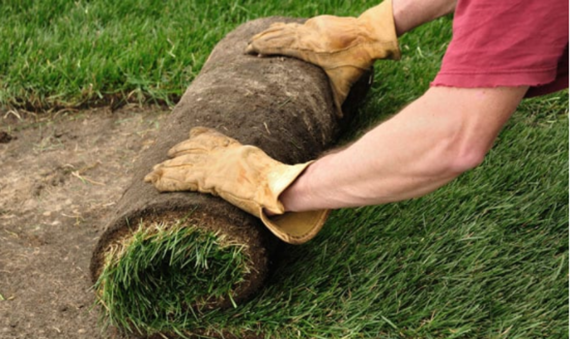 Wood's Sod Farm Image