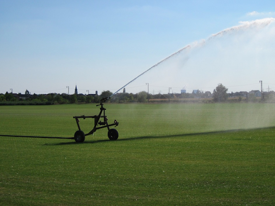 Wood's Sod Farm Image