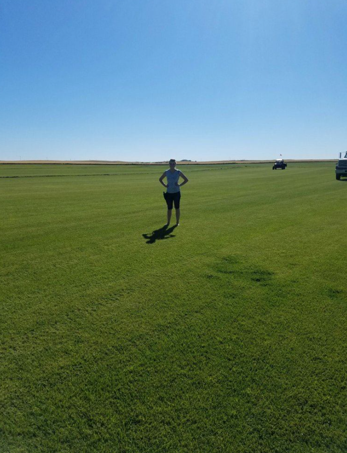 Wood's Sod Farm Image