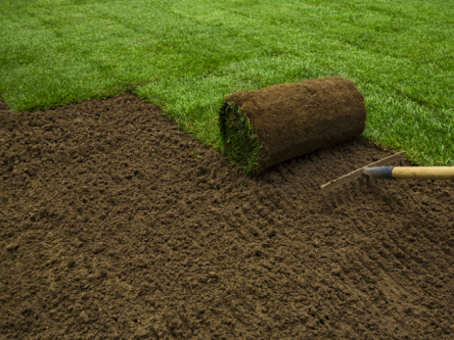 Wood's Sod Farm Image