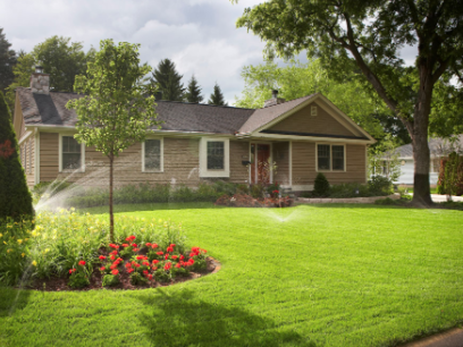 Wood's Sod Farm Image