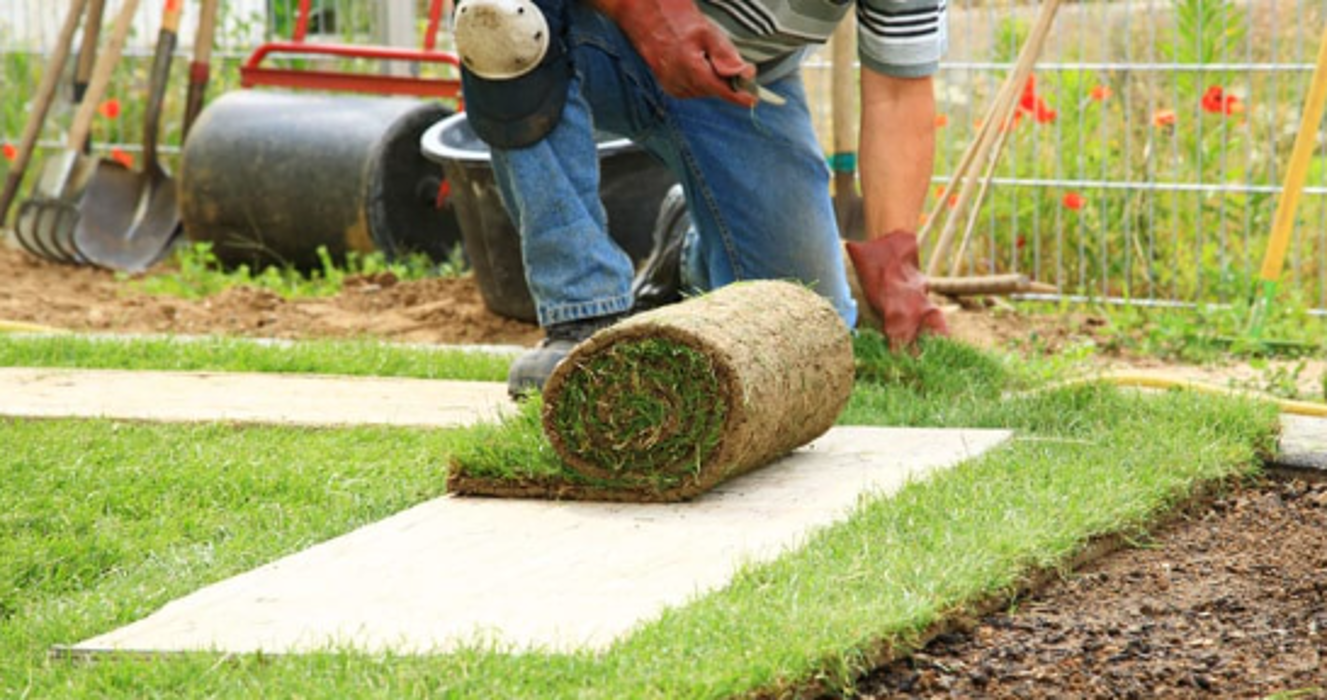 Wood's Sod Farm Image