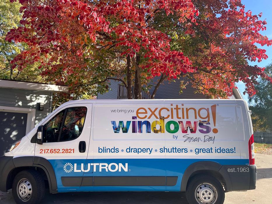 Exciting Windows! by Susan Day Image