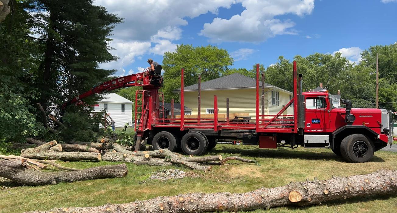 Precision Tree and Landscape, LLC - Hudson, MA