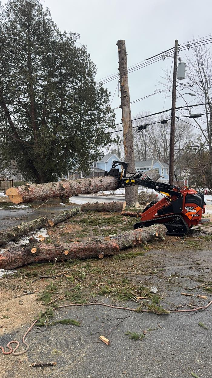 Precision Tree and Landscape, LLC Image