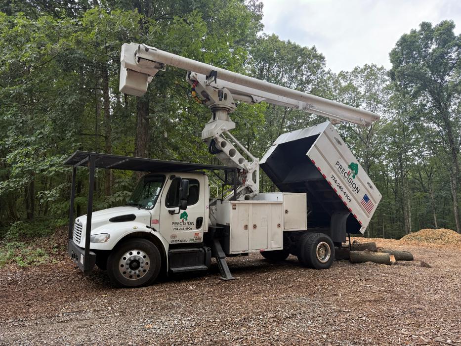 Precision Tree and Landscape, LLC Image