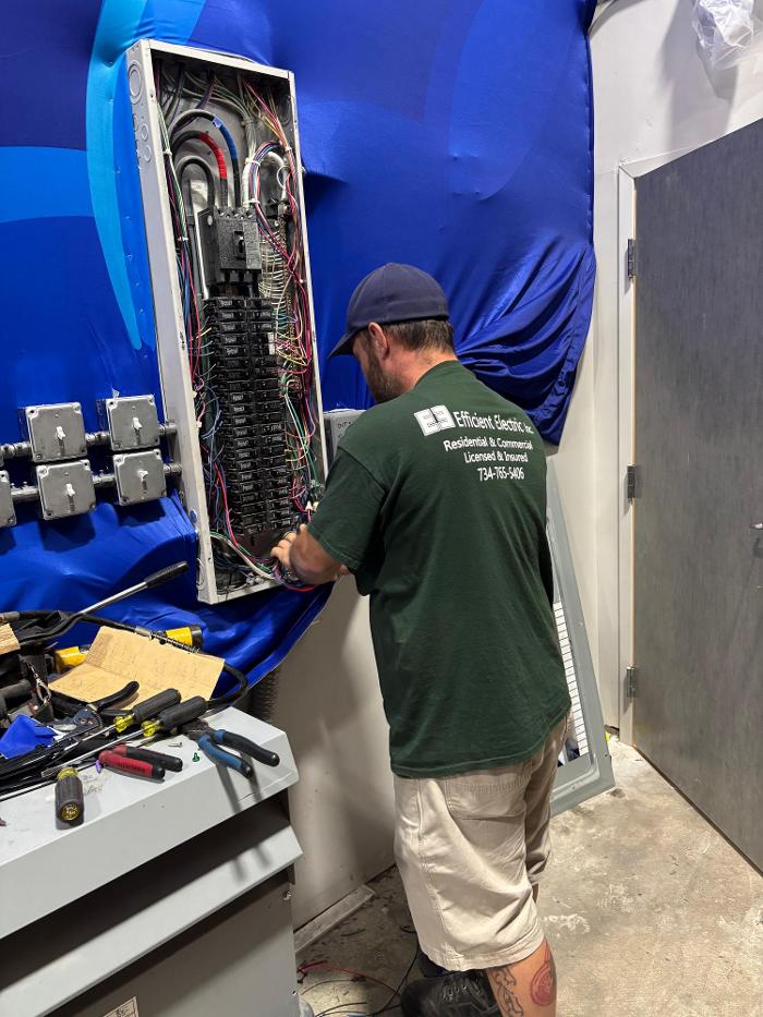 Efficient Electric Logo