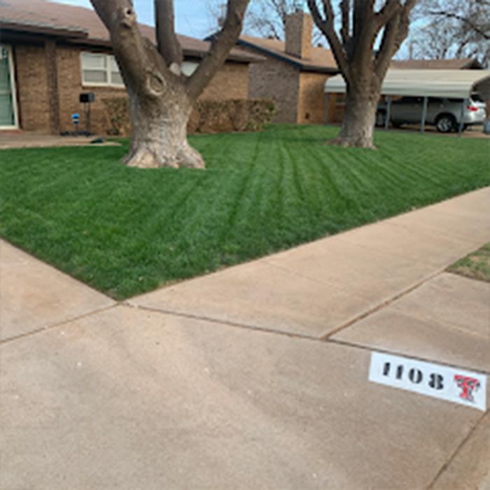Bautista Pros Landscaping and Irrigation - Lubbock, TX