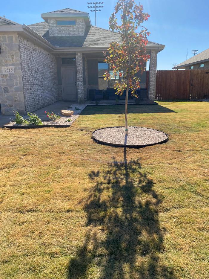 Bautista Pros Landscaping and Irrigation - Lubbock, TX