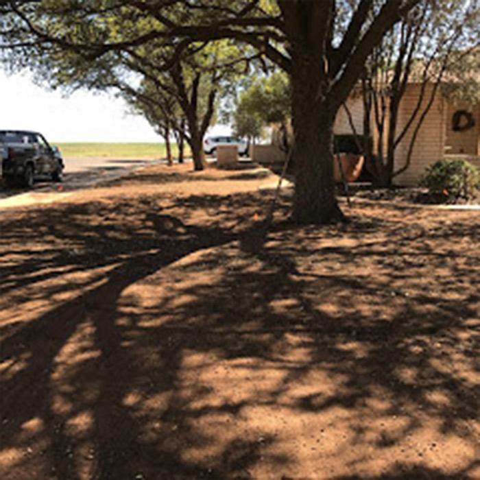 Bautista Pros Landscaping and Irrigation - Lubbock, TX