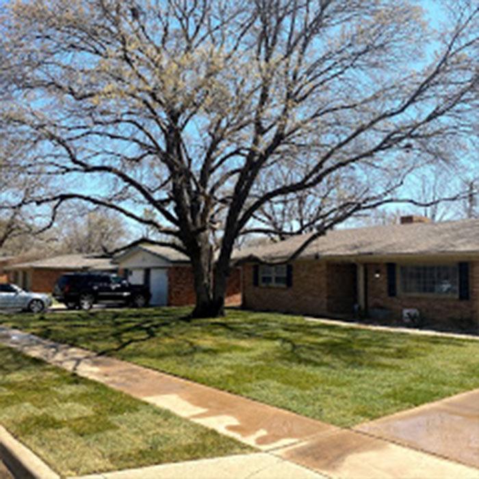 Bautista Pros Landscaping and Irrigation - Lubbock, TX