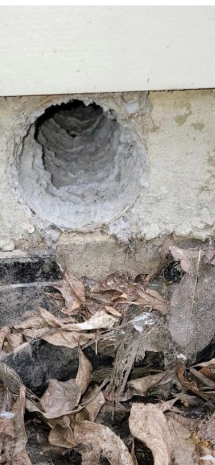 Dryer Vent Superheroes of New Orleans - Harvey, LA