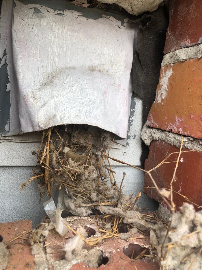 Dryer Vent Superheroes of New Orleans - Harvey, LA