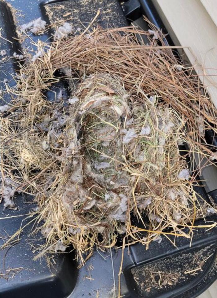 Dryer Vent Superheroes of New Orleans - Harvey, LA