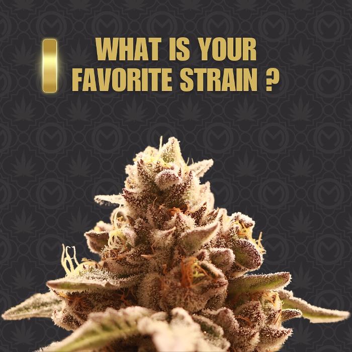 Mint Cannabis - Coldwater - Coldwater, MI