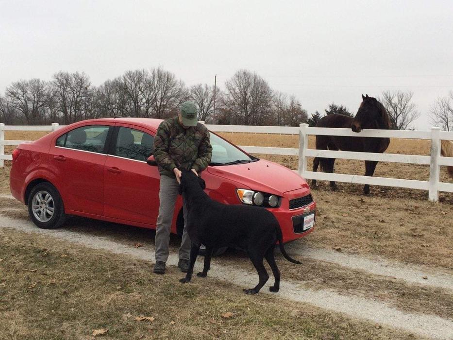 Jim Falk Motors Image