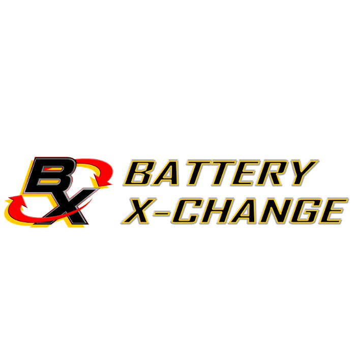 Battery X-Change Image