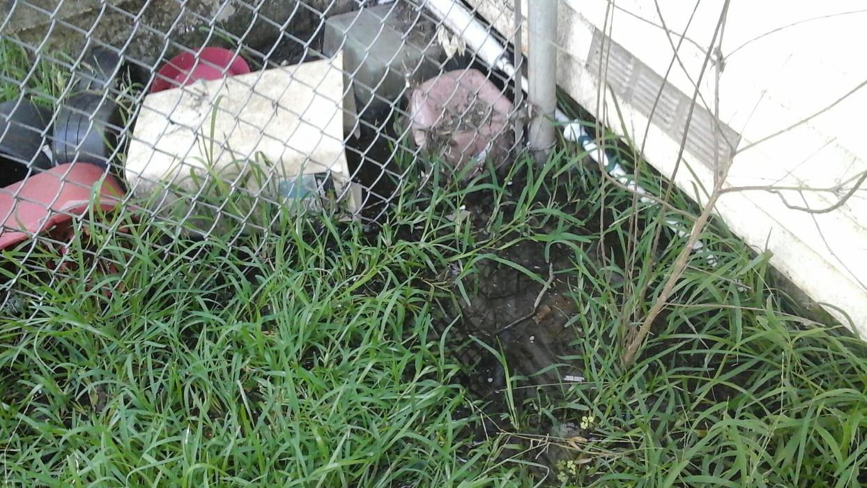 Dial One Johnson Plumbing Cooling and Heating Image