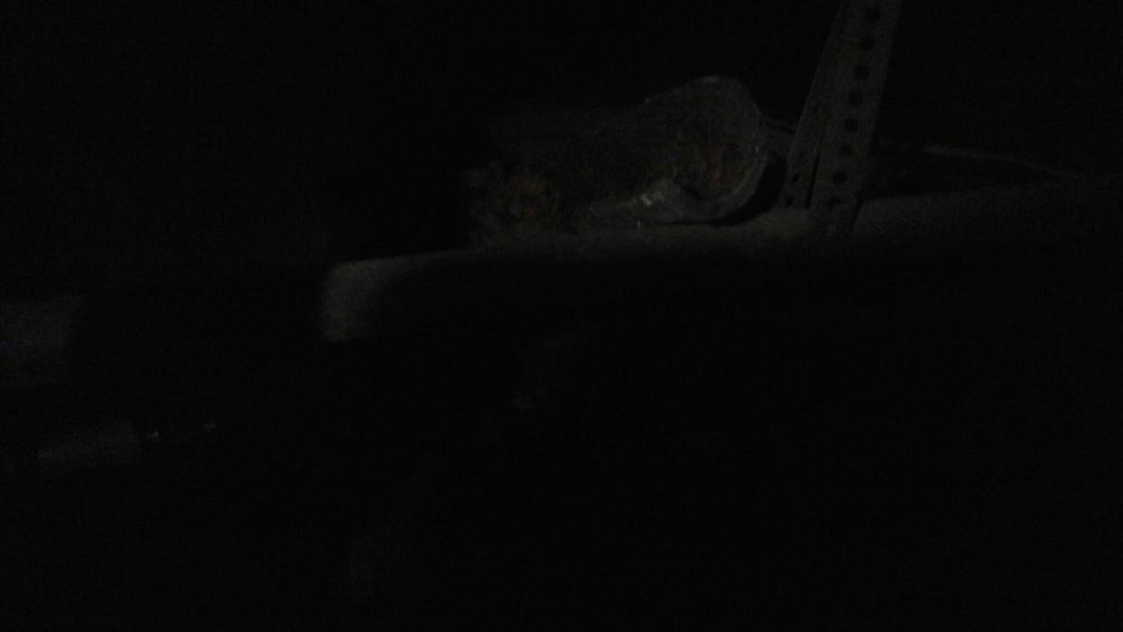 Dial One Johnson Plumbing Cooling and Heating Image