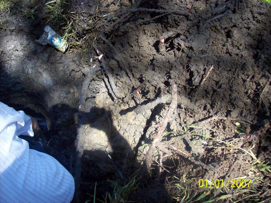 Dial One Johnson Plumbing Cooling and Heating Image