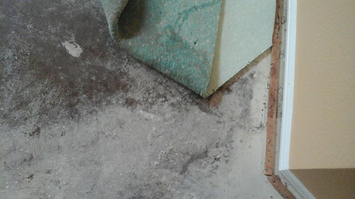 Dial One Johnson Plumbing Cooling and Heating Image