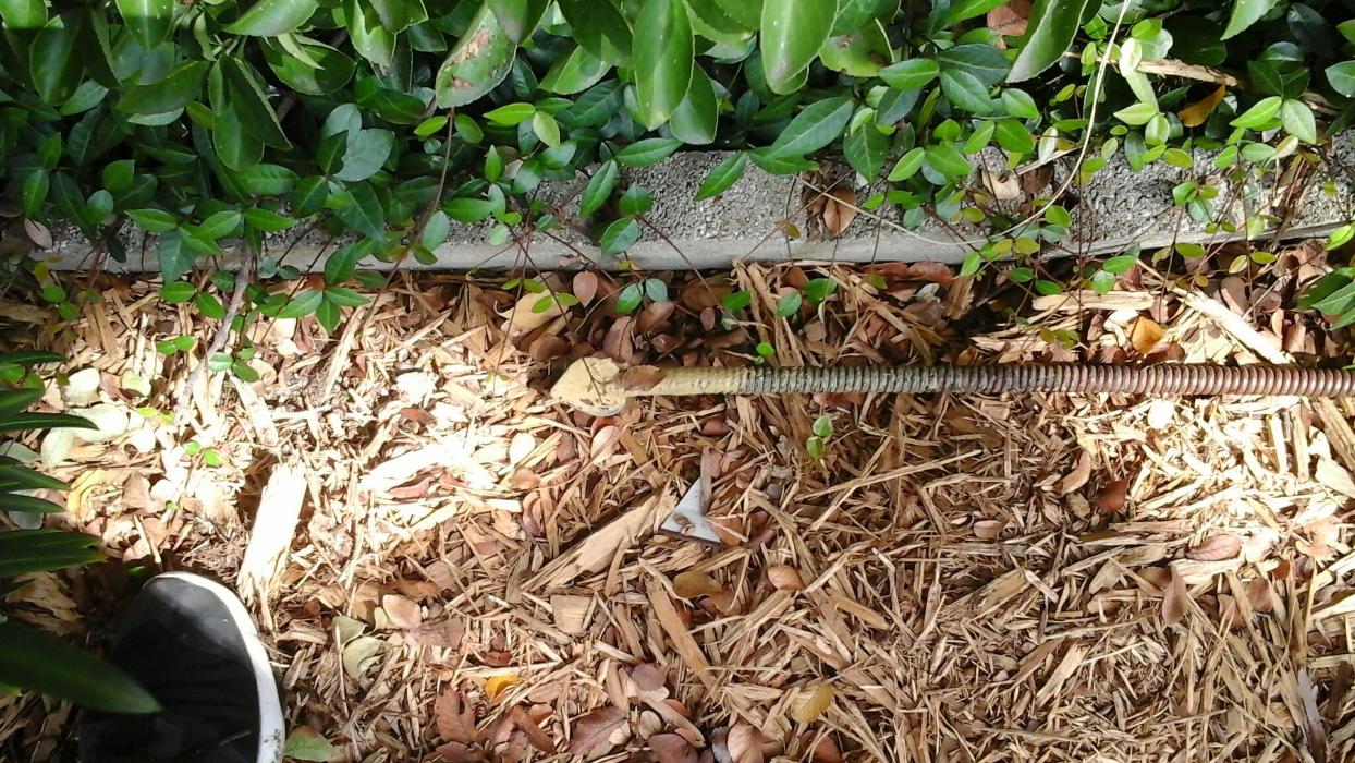 Dial One Johnson Plumbing Cooling and Heating Image