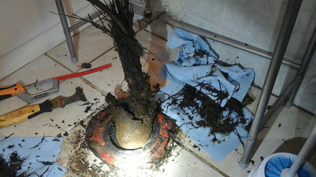 Dial One Johnson Plumbing Cooling and Heating Image