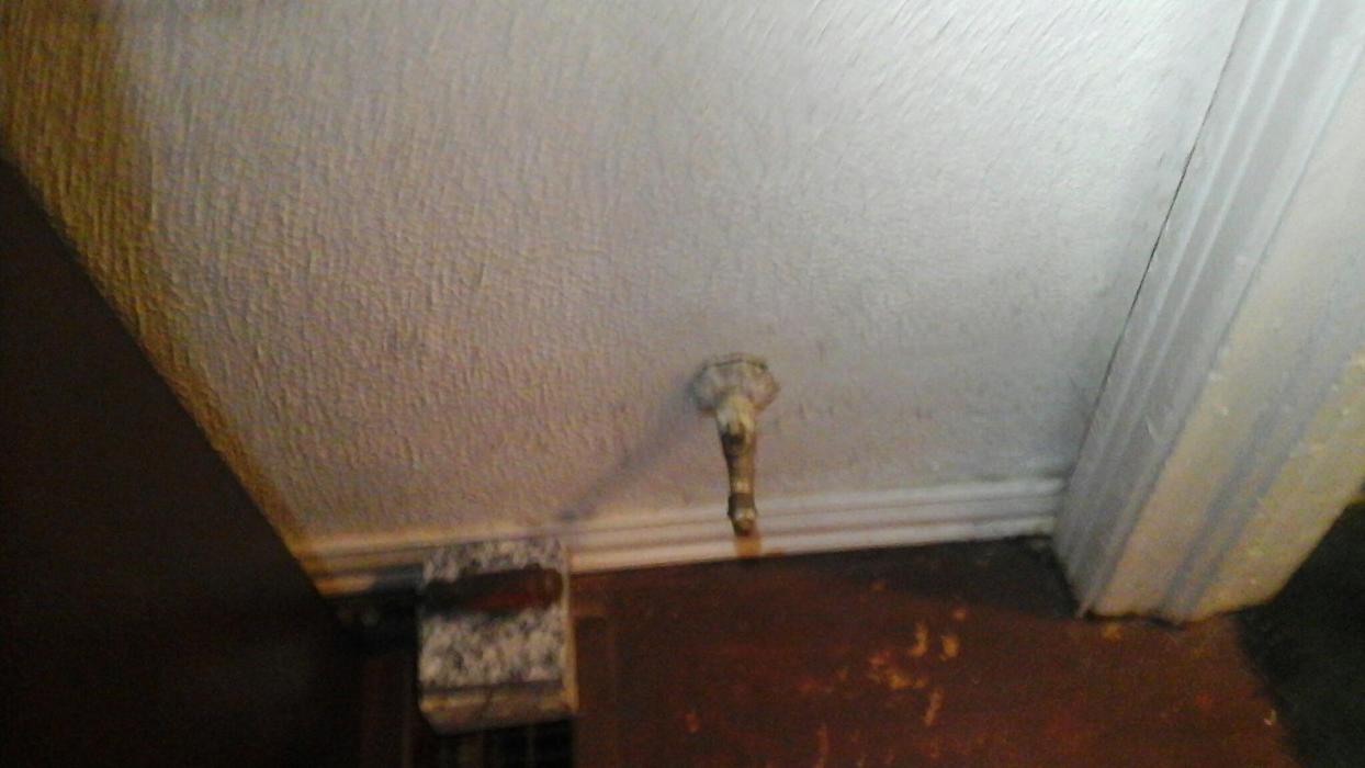 Dial One Johnson Plumbing Cooling and Heating Image