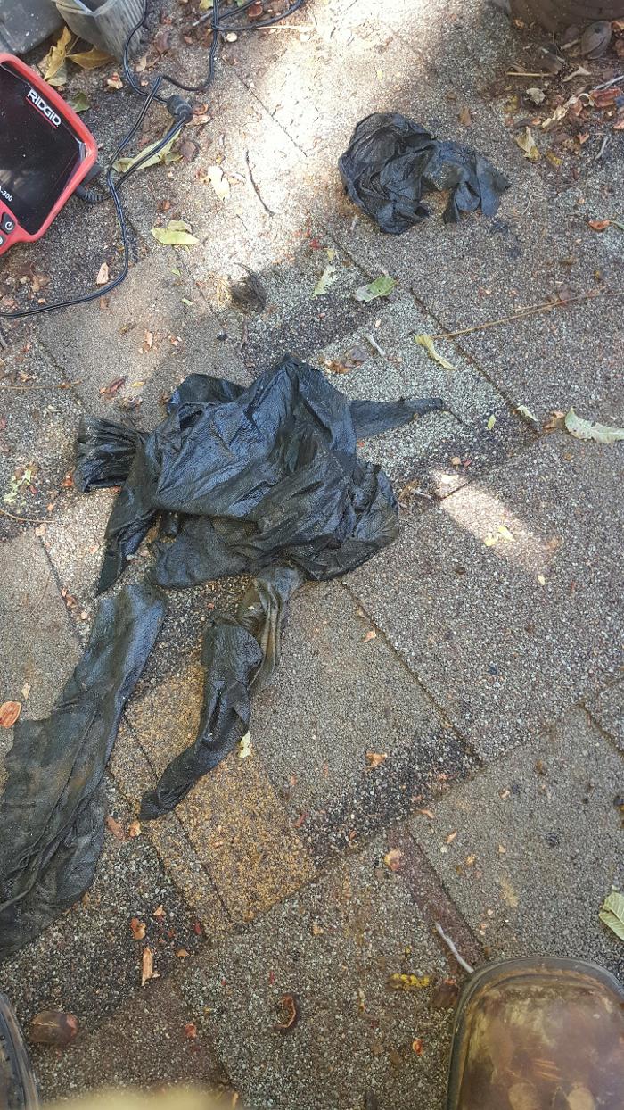 Dial One Johnson Plumbing Cooling and Heating Image