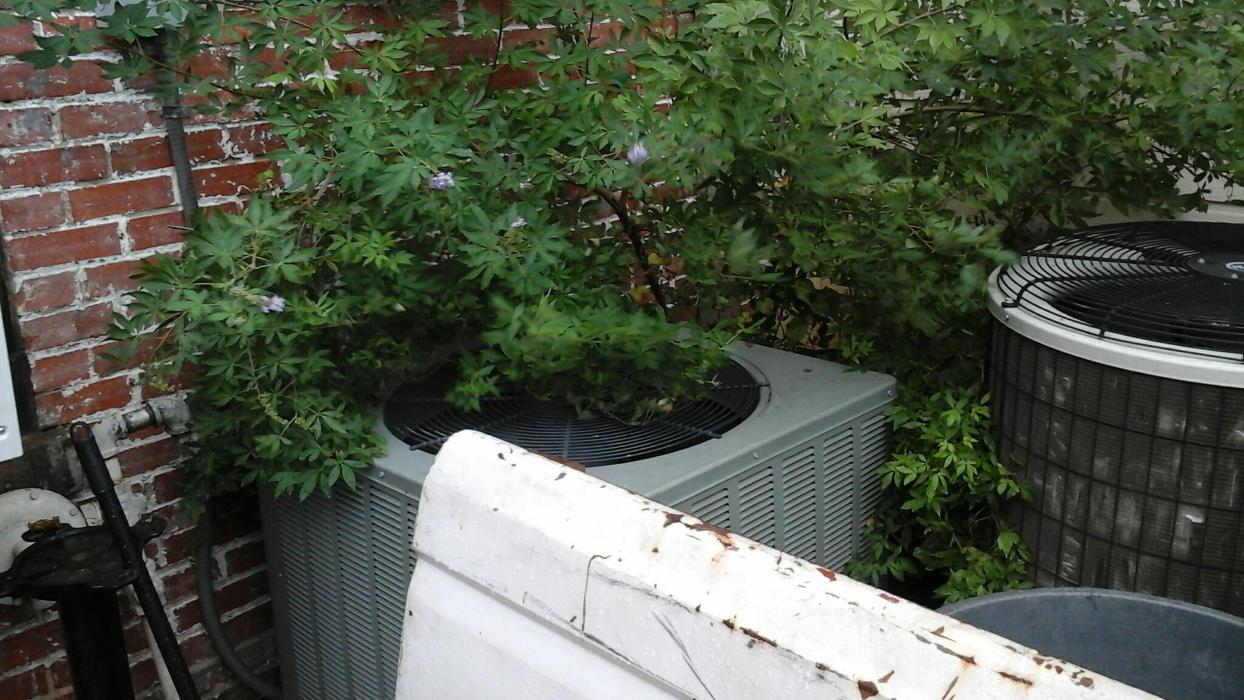 Dial One Johnson Plumbing Cooling and Heating Image