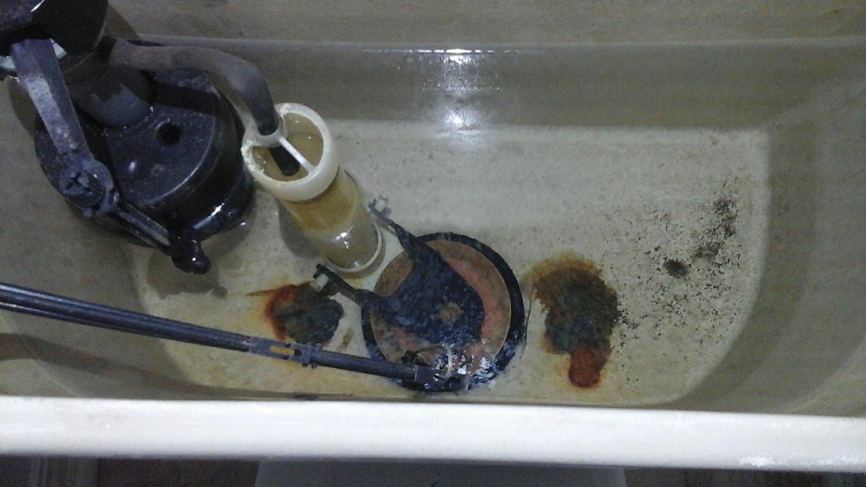 Dial One Johnson Plumbing Cooling and Heating Image