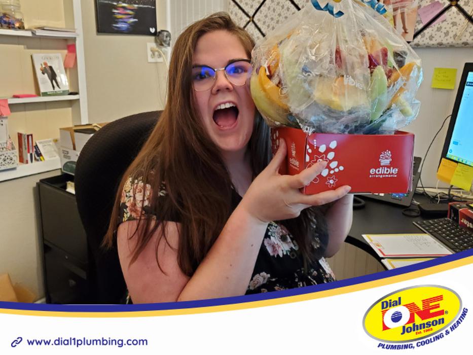 Dial One Johnson Plumbing Cooling and Heating Image