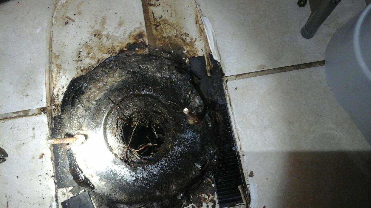 Dial One Johnson Plumbing Cooling and Heating Image