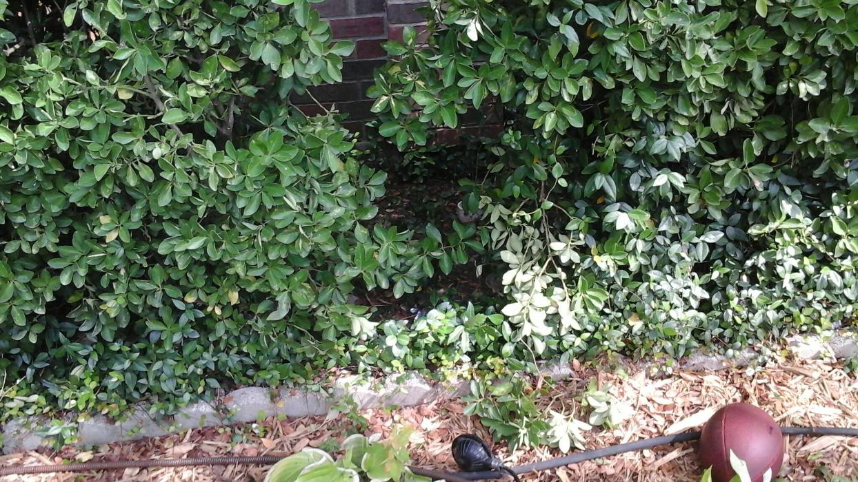 Dial One Johnson Plumbing Cooling and Heating Image