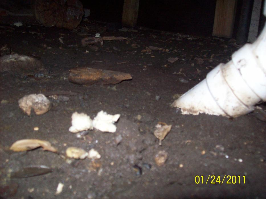 Dial One Johnson Plumbing Cooling and Heating Image