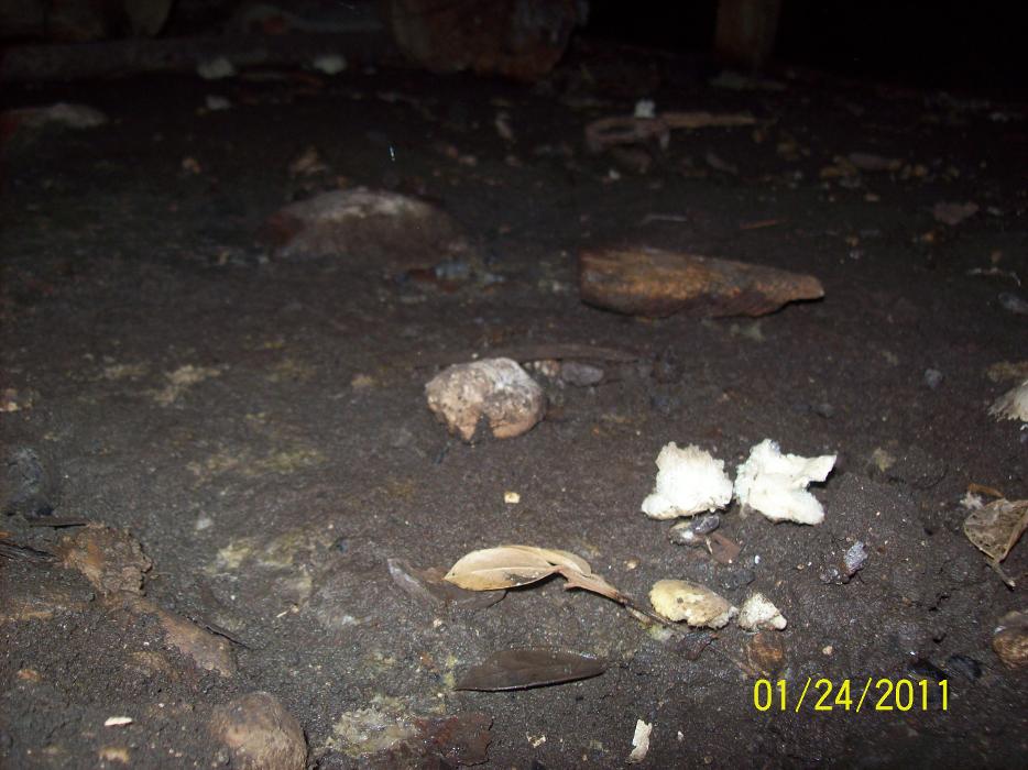 Dial One Johnson Plumbing Cooling and Heating Image