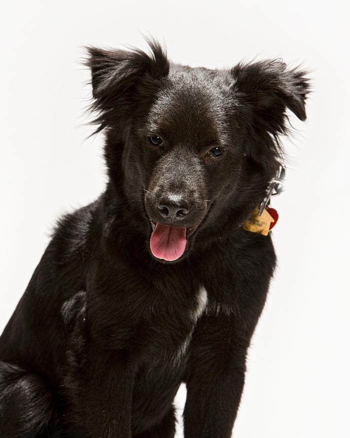 Dial One Johnson Plumbing Cooling and Heating Image